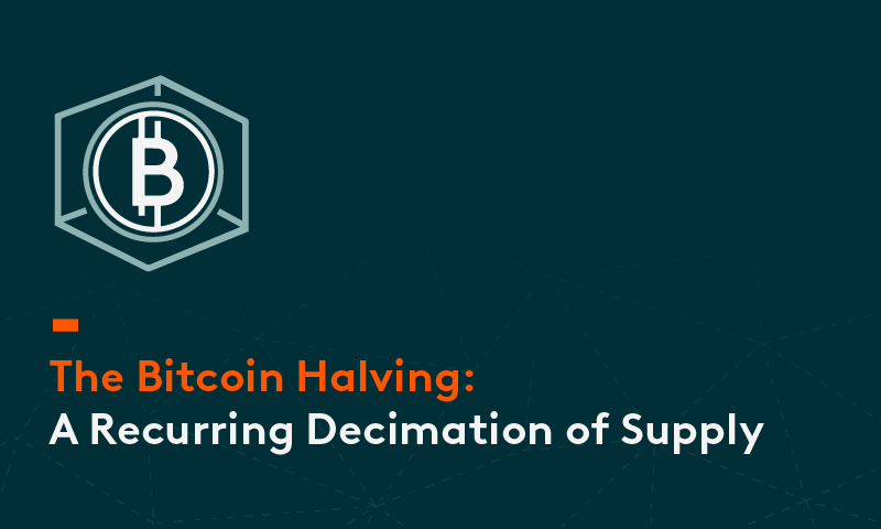 The Bitcoin Halving: A Recurring Decimation of Supply